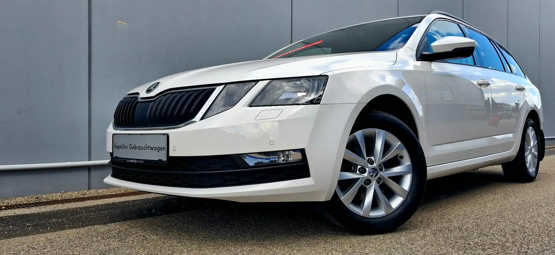 Skoda Octavia Combi 2,0 TDI Ambition Pickerl 1/2027+4 Weiß - 2