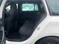 Skoda Octavia RS Combi 2.0 TDI el.Schiebedach, 8-fach Blanc - thumbnail 7