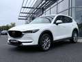 Mazda CX-5 CX-5 2.2L SA-D 150 CH BVA6 SELECTION Blanc - thumbnail 1