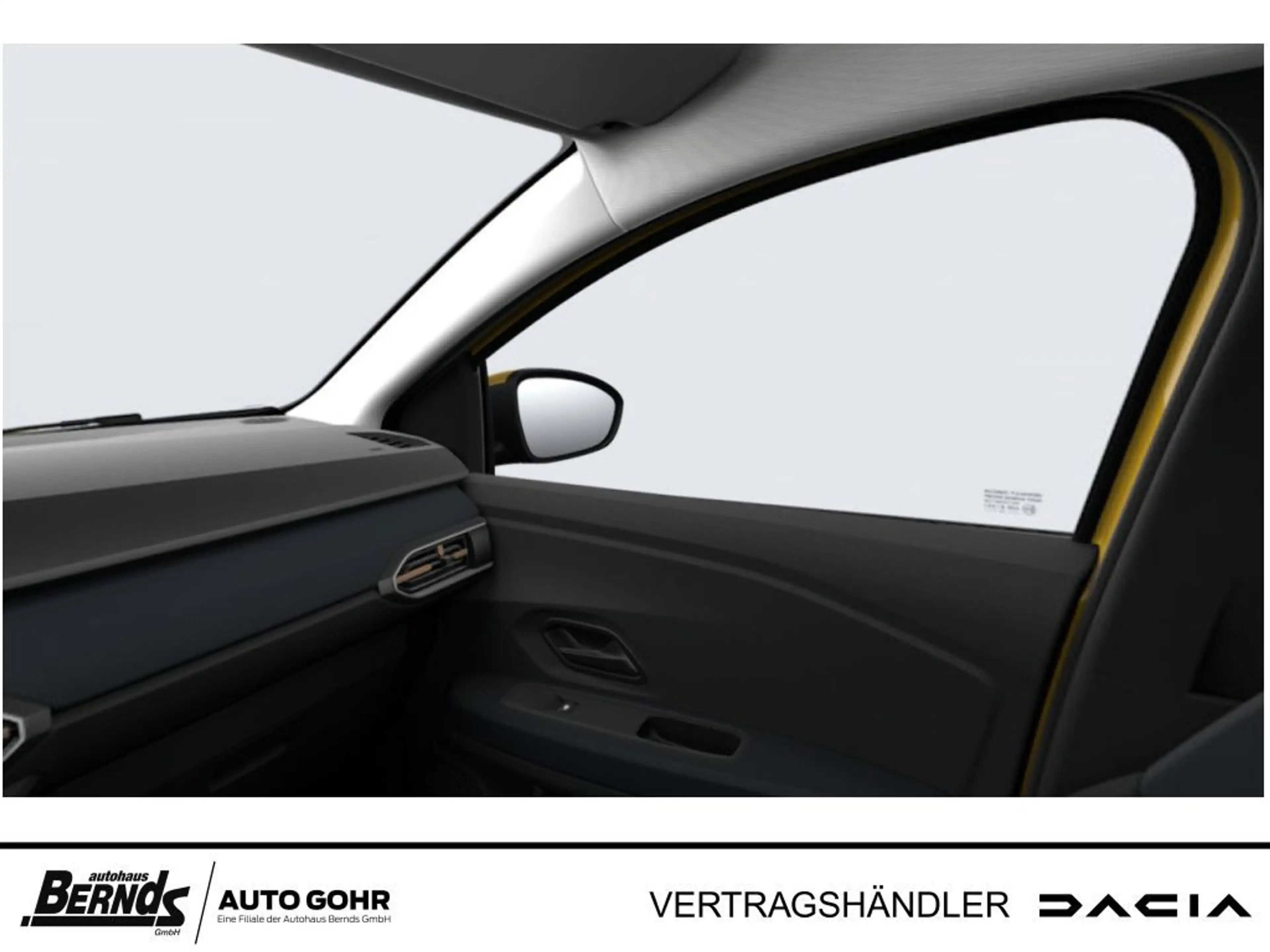 Dacia Sandero Stepway Expression TCe SHZ Navi Rückfahrkamera — photo 13