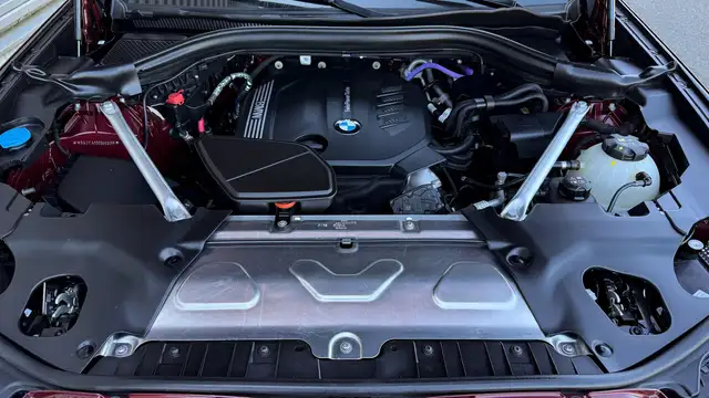 BMW X4 xDrive 20d Ansicht 33