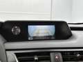 Lexus UX 250h Business Line | Achteruitrijcamera | Adaptive Crui Grijs - thumbnail 8
