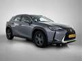 Lexus UX 250h Business Line | Achteruitrijcamera | Adaptive Crui Grijs - thumbnail 13