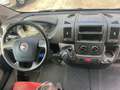 Fiat Ducato Hochr.-Kasten 35 130/MOTORSCHADEN!! Blanc - thumbnail 10