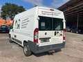 Fiat Ducato Hochr.-Kasten 35 130/MOTORSCHADEN!! Blanc - thumbnail 7