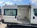 Fiat Ducato Hochr.-Kasten 35 130/MOTORSCHADEN!! Blanc - thumbnail 12