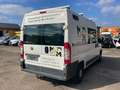 Fiat Ducato Hochr.-Kasten 35 130/MOTORSCHADEN!! Blanc - thumbnail 5