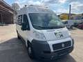 Fiat Ducato Hochr.-Kasten 35 130/MOTORSCHADEN!! Blanc - thumbnail 3
