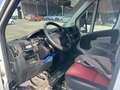 Fiat Ducato Hochr.-Kasten 35 130/MOTORSCHADEN!! Blanc - thumbnail 9