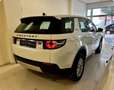 Land Rover Discovery Sport 2.0eD4 HSE Luxury 4x2 150 Bianco - thumbnail 4