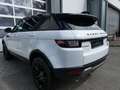 Land Rover Range Rover Evoque SE Xenon/Navi/Pano/Kamera/AHK Blanc - thumbnail 7