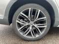 Volkswagen Passat Business Alltrack 2.0 TDI 190 CV 4MOTION DSG*TETTO Bianco - thumbnail 13