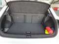Volkswagen T-Roc Style 1.5TSI DSG IQ.LIGHT AHK PANO CAM Weiß - thumbnail 12