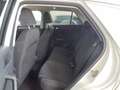 Volkswagen T-Roc Style 1.5TSI DSG IQ.LIGHT AHK PANO CAM Weiß - thumbnail 10