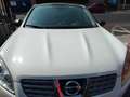 Nissan Qashqai Qashqai 1.5 dci Tekna Bianco - thumbnail 5
