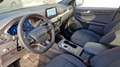 Ford Kuga 2.5 DURATEC 190 CH FLEXIFUEL FHEV E85 POWERSHIFT ST-LIN Bleu - thumbnail 12
