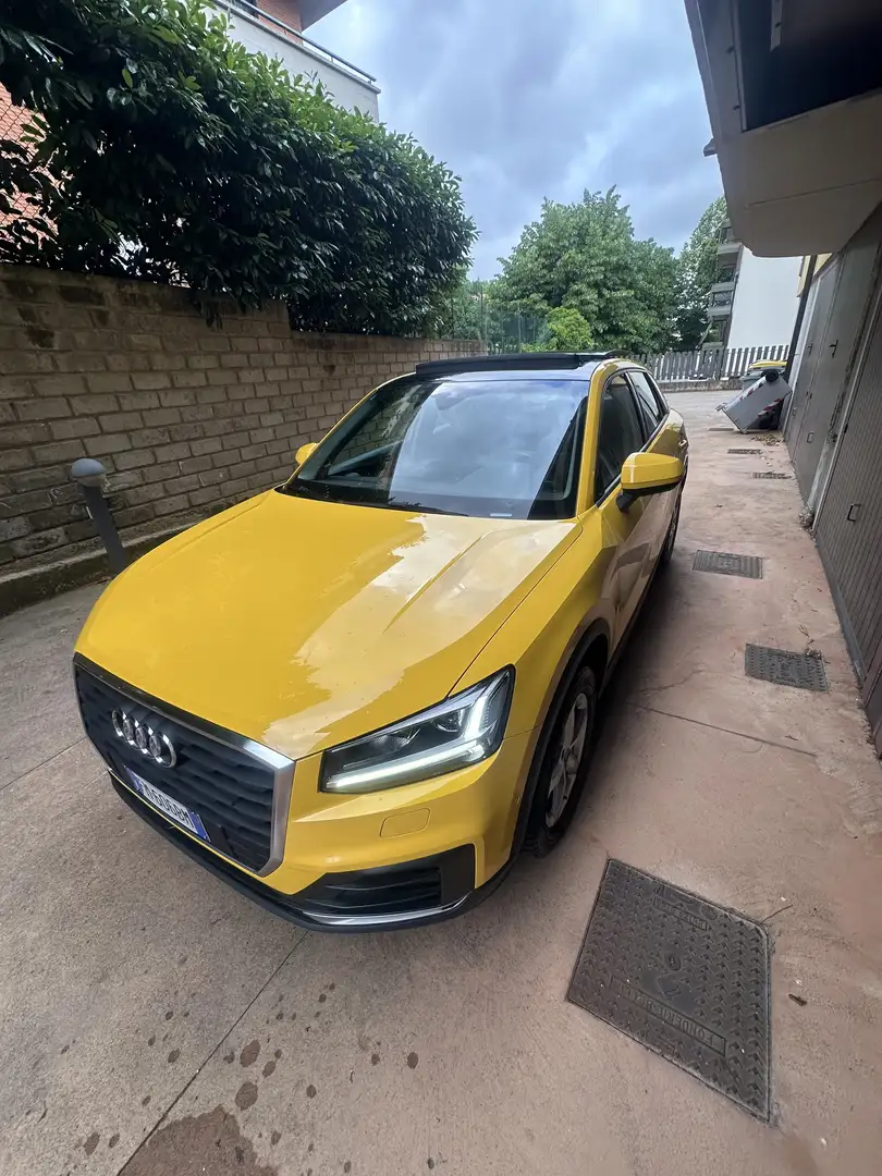 Audi Q2 1.6 tdi Business s-tronic Giallo - 2