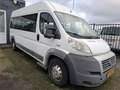 Fiat Ducato FIAT 3.0 7-PERSOONS MOTOR KAPOT 1750.- INCL BTW AA Blanc - thumbnail 7