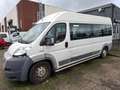 Fiat Ducato FIAT 3.0 7-PERSOONS MOTOR KAPOT 1750.- INCL BTW AA Blanc - thumbnail 3