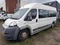 Fiat Ducato FIAT 3.0 7-PERSOONS MOTOR KAPOT 1750.- INCL BTW AA Blanc - thumbnail 11