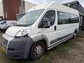 Fiat Ducato FIAT 3.0 7-PERSOONS MOTOR KAPOT 1750.- INCL BTW AA Blanc - thumbnail 1