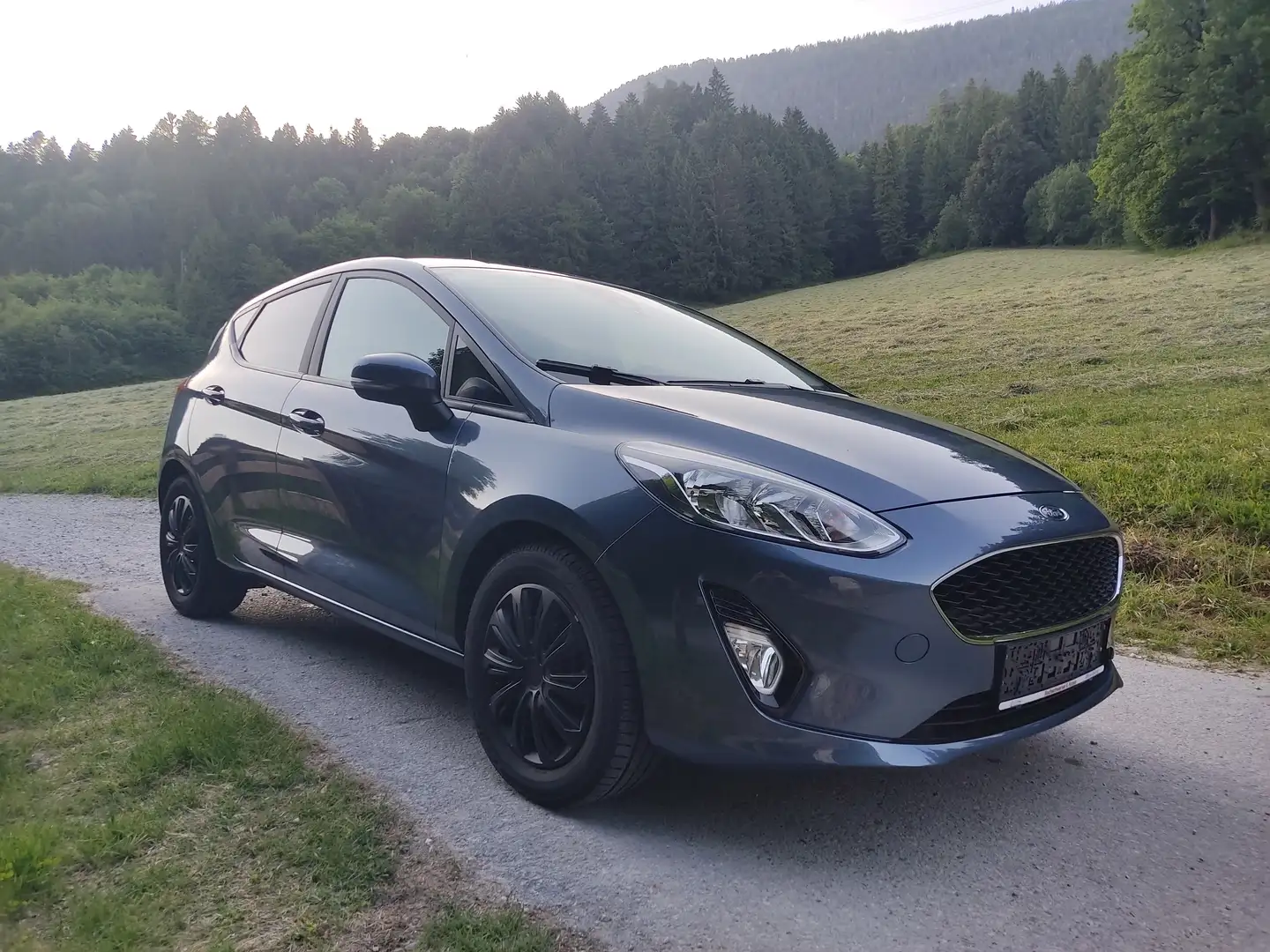 Ford Fiesta Trend 1,1 Start/Stop - 1