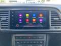 CUPRA Ateca 2.0 TSI 4Drive DSG BEATS+LED+SHZ+ACC+NAVI Grau - thumbnail 17