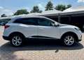 Renault Kadjar Kadjar 2019 1.5 blue dci Sport Edition 115cv edc Blanc - thumbnail 5