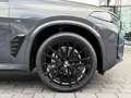 BMW X5 xDrive 40d M Sport | Standheizung | Panorama Gris - thumbnail 9
