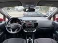 Kia Rio Rio 1.2i Easy**AIR-CO*5 PORTES*47.000 KM**GARANTIE Rood - thumbnail 8
