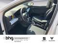 SEAT Ibiza 1.0 TSI DSG Style Weiß - thumbnail 8