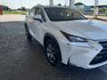 Lexus NX 300 NX 300h 2.5 Executive 4wd cvt Biały - thumbnail 3