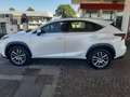 Lexus NX 300 NX 300h 2.5 Executive 4wd cvt Biały - thumbnail 6