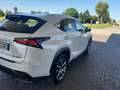 Lexus NX 300 NX 300h 2.5 Executive 4wd cvt Biały - thumbnail 5