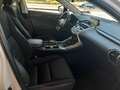 Lexus NX 300 NX 300h 2.5 Executive 4wd cvt Biały - thumbnail 13