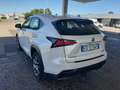 Lexus NX 300 NX 300h 2.5 Executive 4wd cvt Biały - thumbnail 9