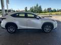 Lexus NX 300 NX 300h 2.5 Executive 4wd cvt Biały - thumbnail 4