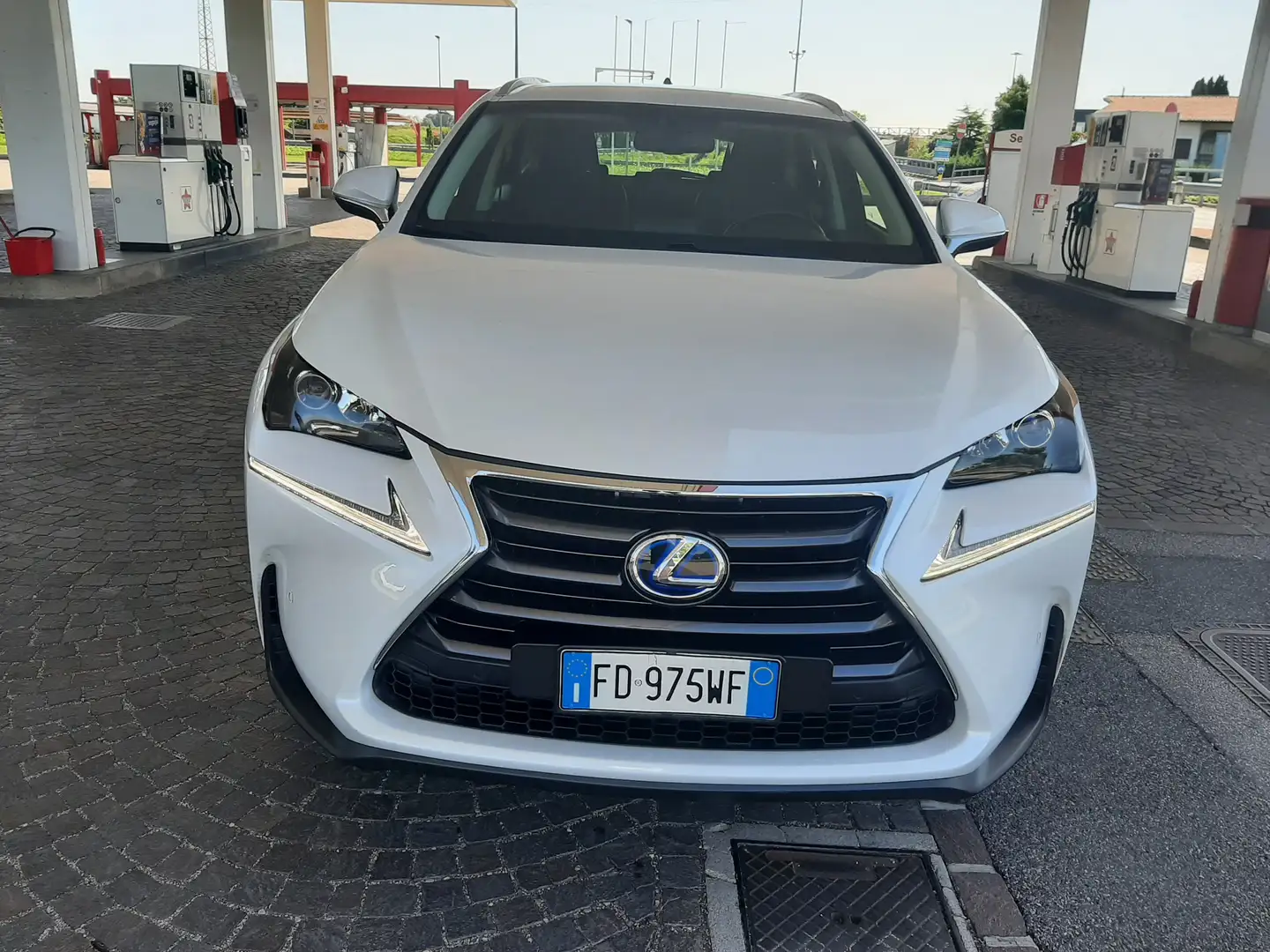 Lexus NX 300 NX 300h 2.5 Executive 4wd cvt Biały - 2