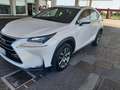 Lexus NX 300 NX 300h 2.5 Executive 4wd cvt Biały - thumbnail 1