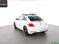 Volkswagen Beetle Beetle 2.0 TSI R LINE PANORAMA,KEYLESS,NAVI,SH Blanc - thumbnail 3