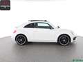 Volkswagen Beetle Beetle 2.0 TSI R LINE PANORAMA,KEYLESS,FENDER,SH Wit - thumbnail 6