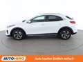 Kia XCeed 1.4 TGDI Silber Weiß - thumbnail 3