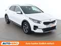 Kia XCeed 1.4 TGDI Silber Weiß - thumbnail 8