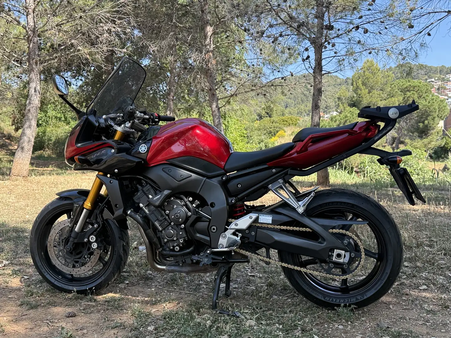 Yamaha FZ 1 Rojo - 1