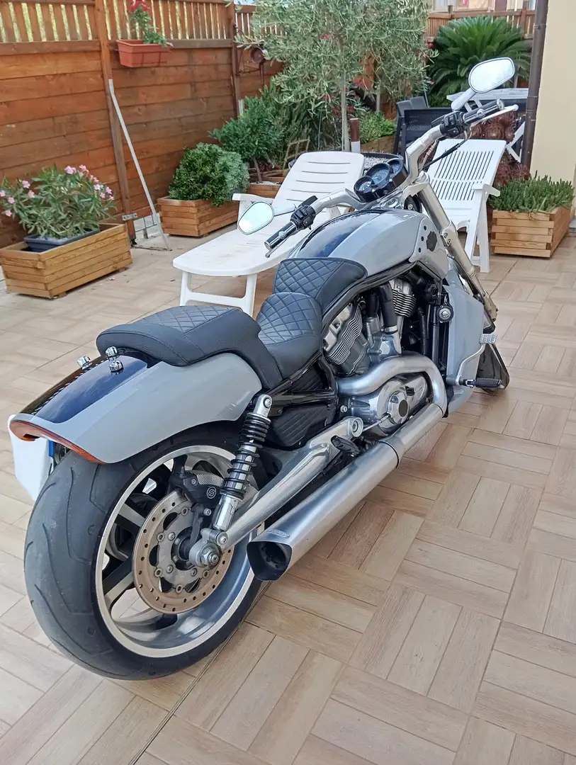 Harley-Davidson V-Rod Muscle VRSCF Grijs - 2