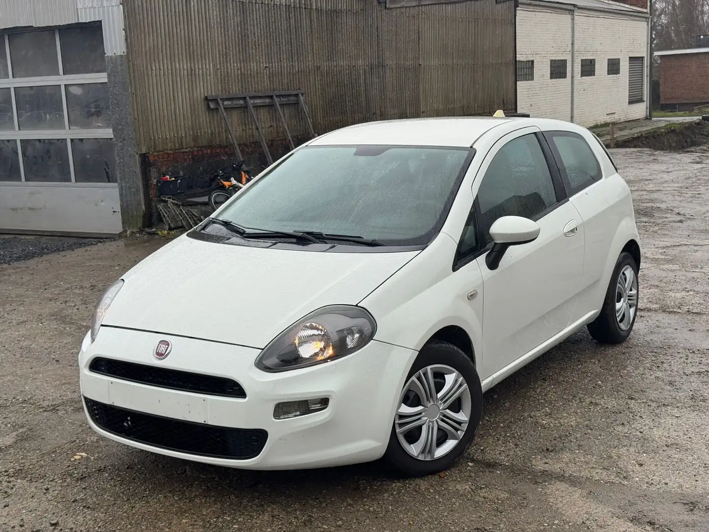 Fiat Punto 1.2i Lounge//CLIM//CAPTEURS Blanc - 1