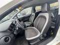 Fiat Punto 1.2i Lounge//CLIM//CAPTEURS Blanc - thumbnail 14