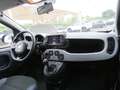 Fiat Panda 1.0 hybrid City Cross Grigio - thumbnail 11