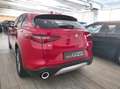 Alfa Romeo Stelvio - Stelvio 2.2 Turbodiesel 180 CV AT8 Q4 Executive Rot - thumbnail 6