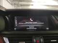 Alfa Romeo Stelvio - Stelvio 2.2 Turbodiesel 180 CV AT8 Q4 Executive Rot - thumbnail 27